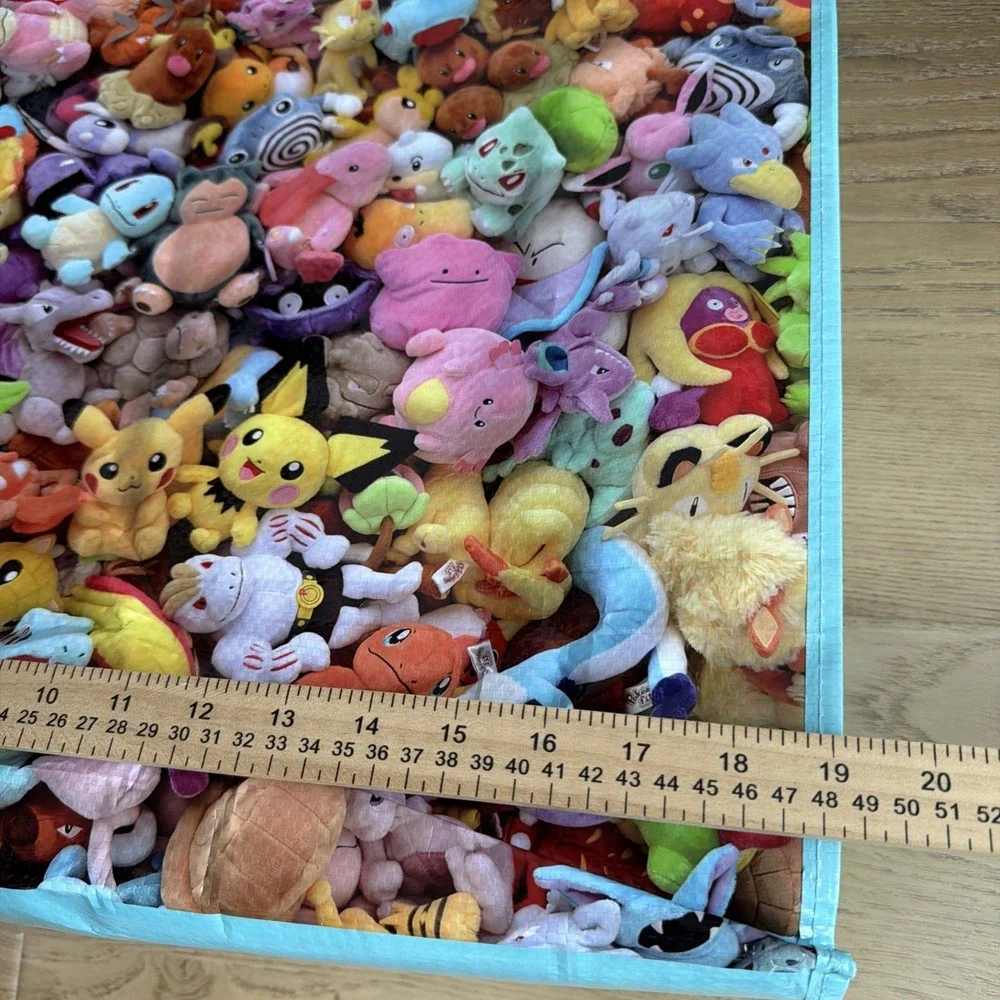 Pokemon Center Japan Collectable Reusable Shopping‎ Zipper Tote Bag L US Shipper